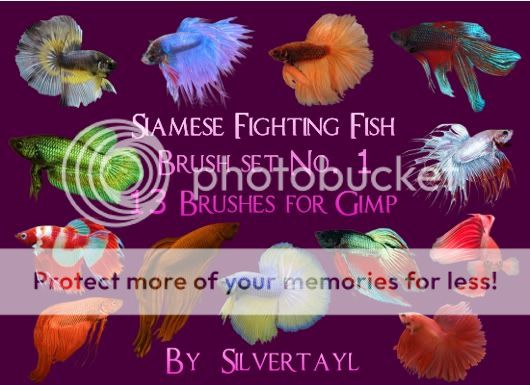 Posted Image