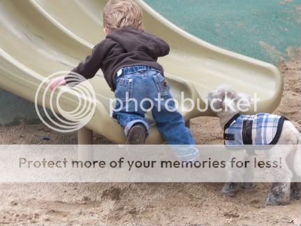 Roan and Priscilla Pumpernickel Potter playing at the park Roan and his baby lamb Priscilla Pumpernickel Potter playing at the park!