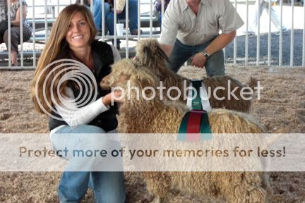 2008 OFFF Lovalee winning with Cloudspun Samba, CAGBA Grand Champion, Judges Choice (best fleece),and Champion