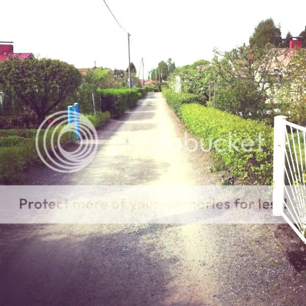 bild3-6