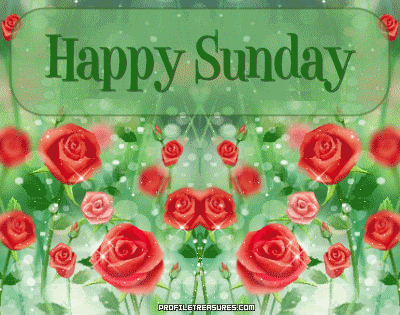 1Happy-Sunday-Roses.gif picture by jumpingjill