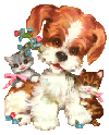 1hugDogCats2gif.gif picture by jumpingjill