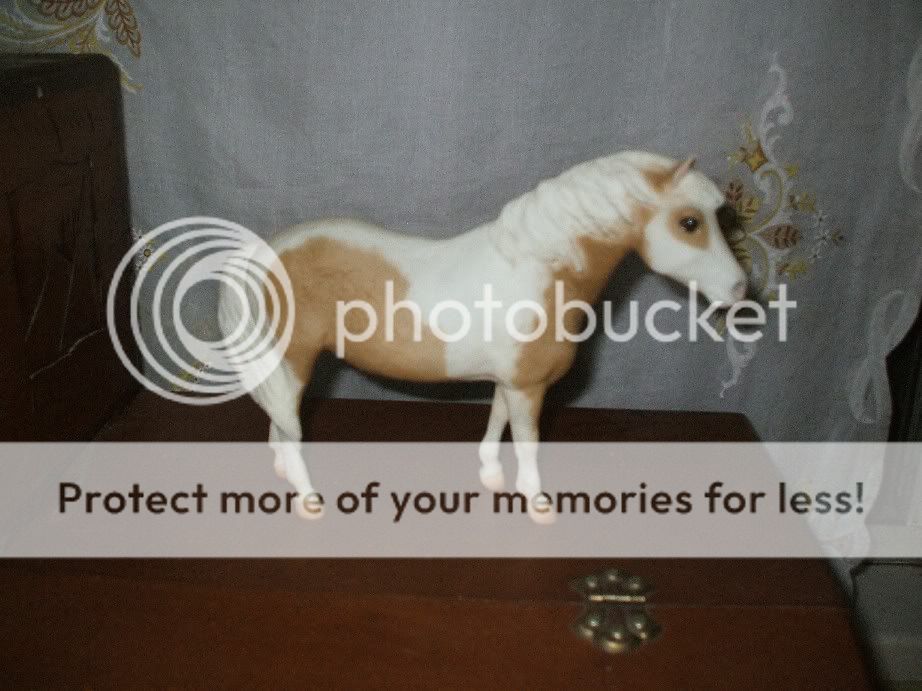 Picture1273.jpg breyer image by tattycat1 Picture1273.jpg breyer image by tattycat1