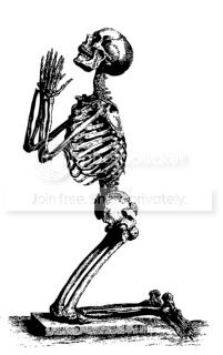 Skeleton Pictures, Images and Photos