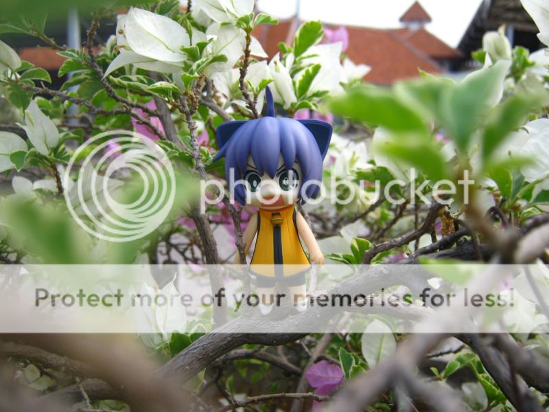 "You can't hide, Mini Kyouka!" "You can't hide, Mini Kyouka!"