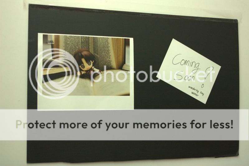 Photocon Winner Photocon Winner