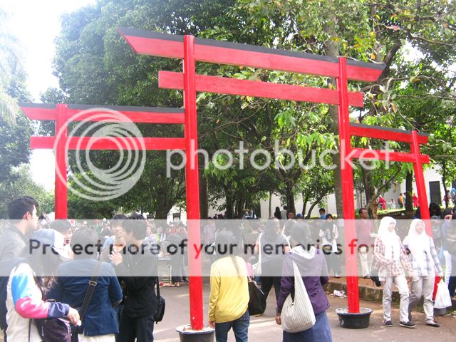 Torii Torii