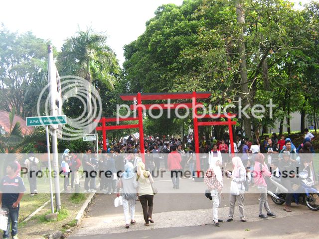 Gelar Jepang UI Gelar Jepang UI