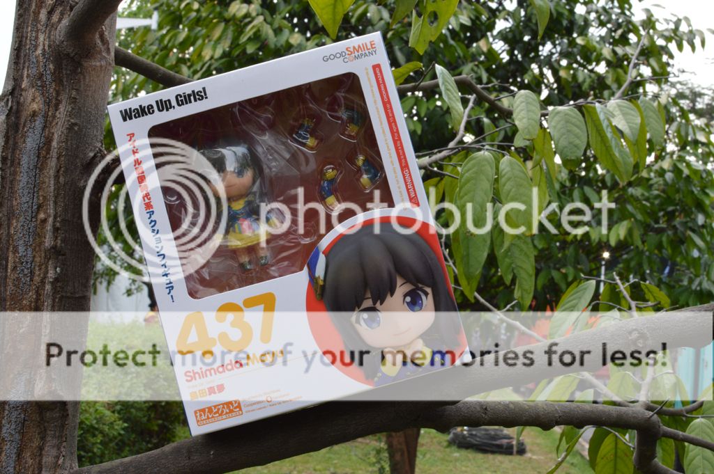 Nendoroid Shimada Mayu