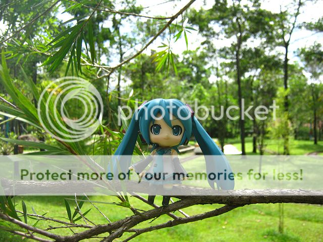 Miku on tree Miku on tree