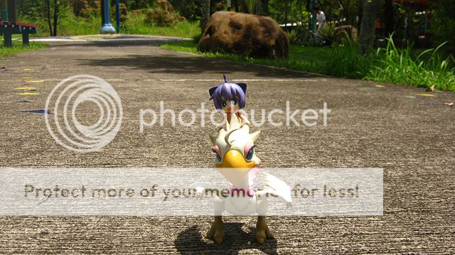 Riding the Chocobo Riding the Chocobo