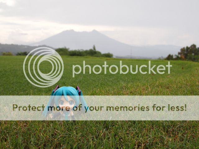 Miku on Golf tee area Miku on Golf tee area