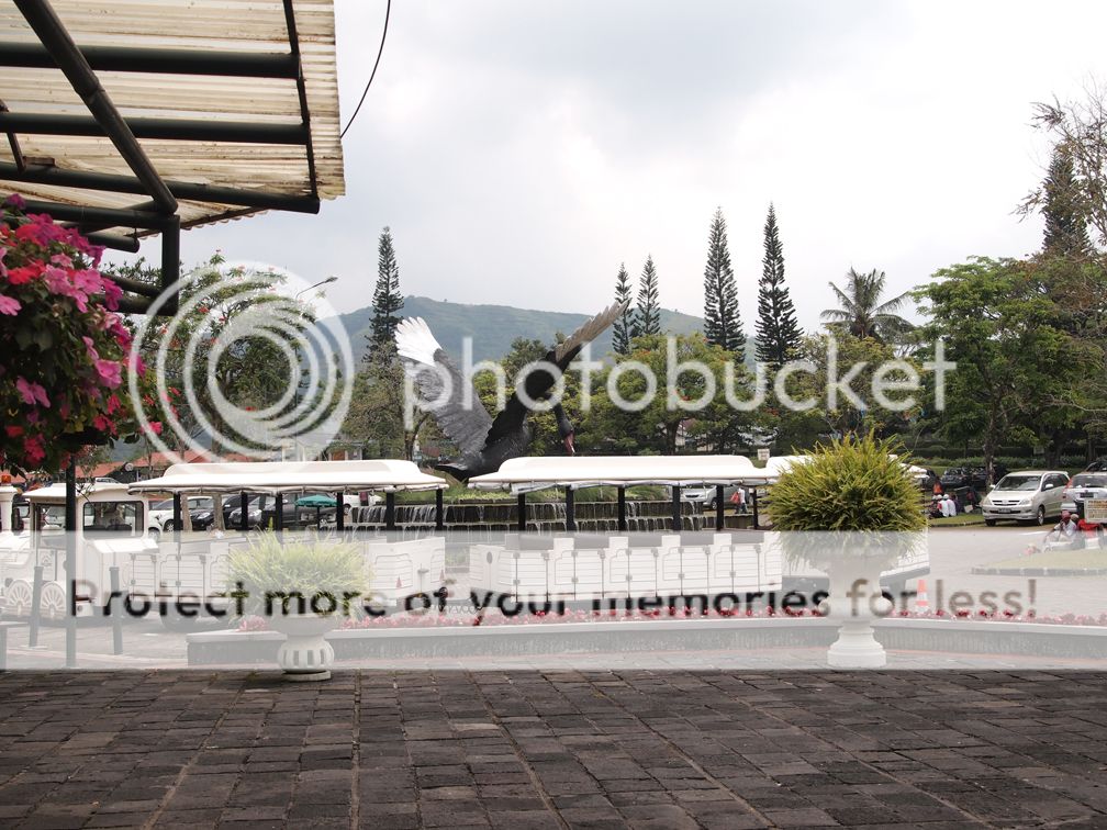Taman Bunga Nusantara Taman Bunga Nusantara