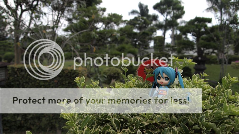 Miku Maiko ver. Miku Maiko ver.