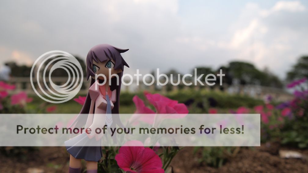 Hitagi Senjougahara Hitagi Senjougahara