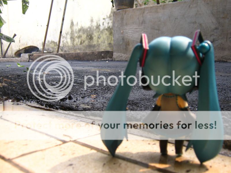 Miku Miku