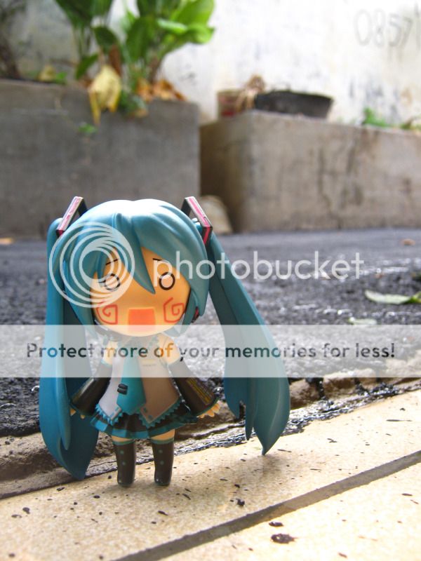 Hachune Miku Hachune Miku