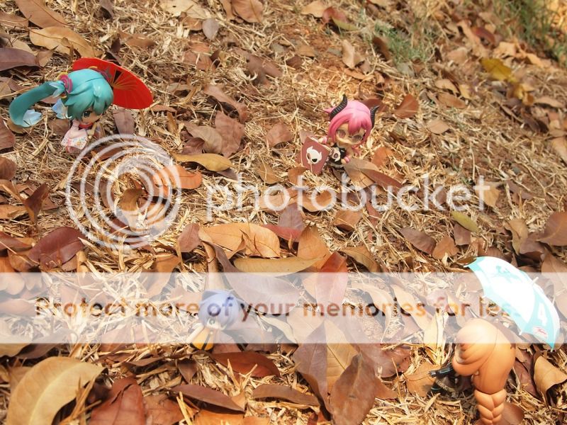Wandering Fay on ground Wandering Fay on ground