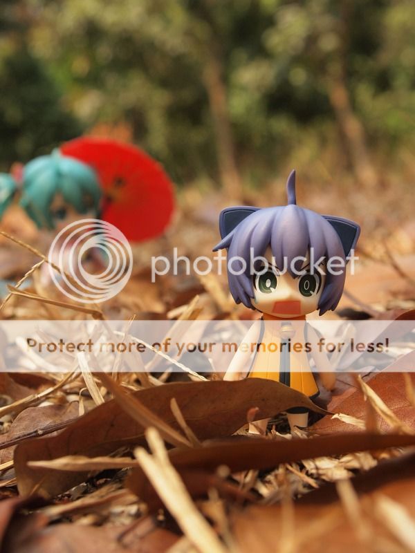 Mini Kyouka Mini Kyouka