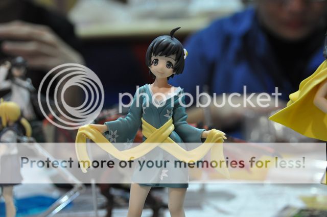 Tsukihi Araragi Tsukihi Araragi