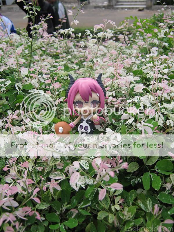 On bushes On bushes