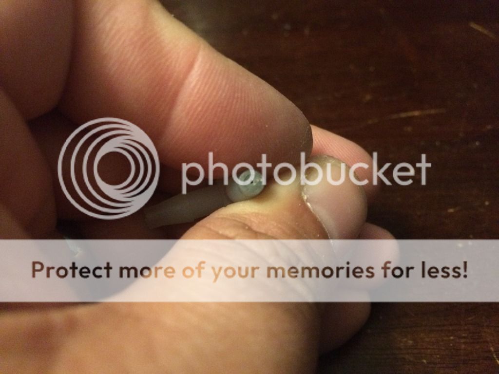 Image may have been reduced in size. Click image to view fullscreen.