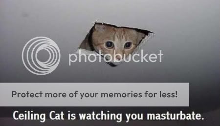 Photobucket Image Hosting