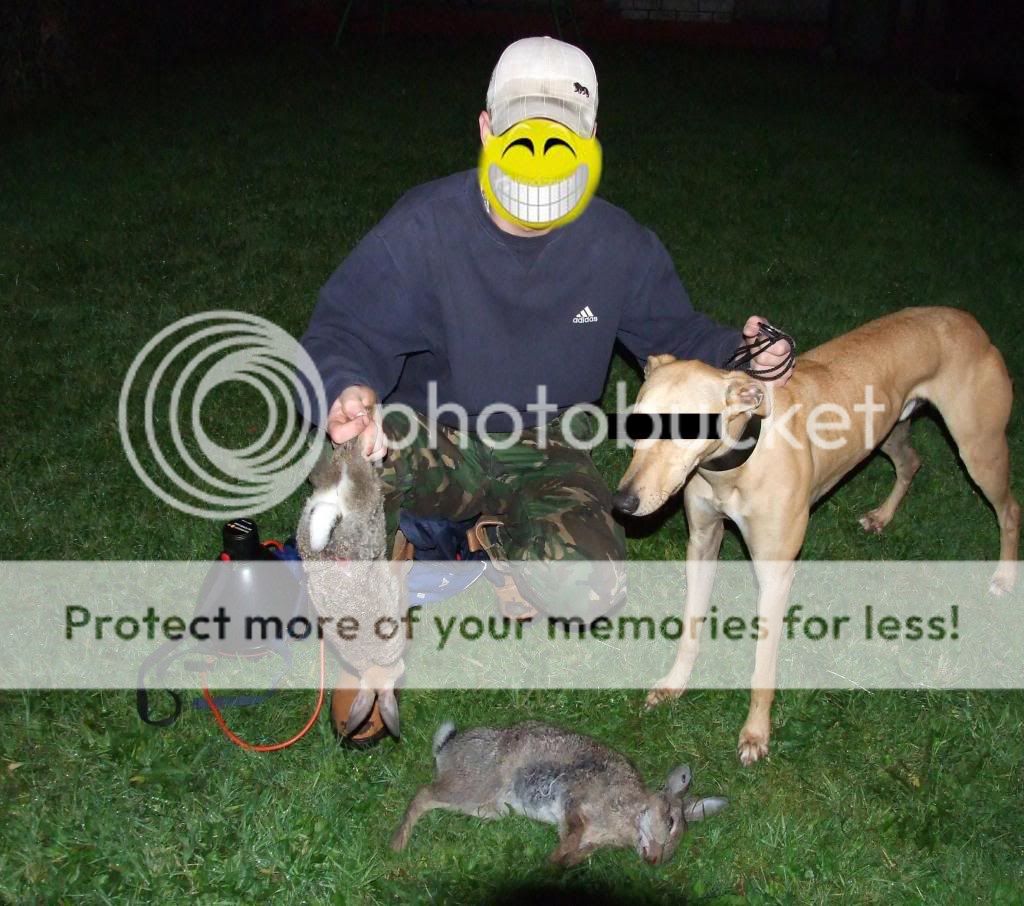 2l2.jpg
